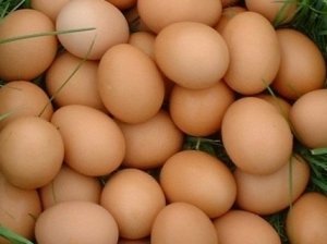 Užkandėlė su kiaušiniais