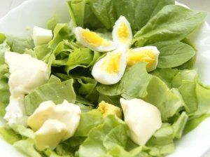 Pavasario salotos su kiaušiniu